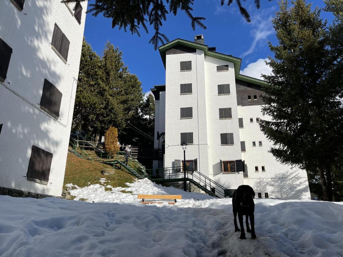 Izas - Pirineos360 - Practico Y Sencillo - Perfecto Para Esquiadores Formigal Exteriér fotografie